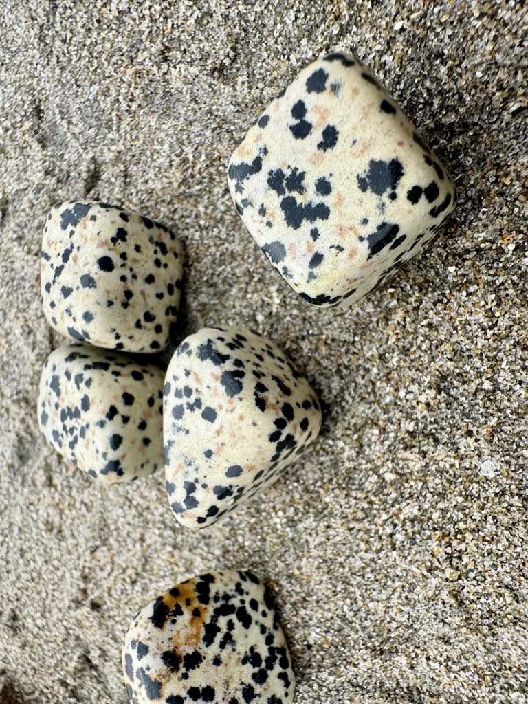 Dalmatian Jasper Cube Tumbles