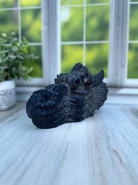 Black Obsidian Dragon Head
