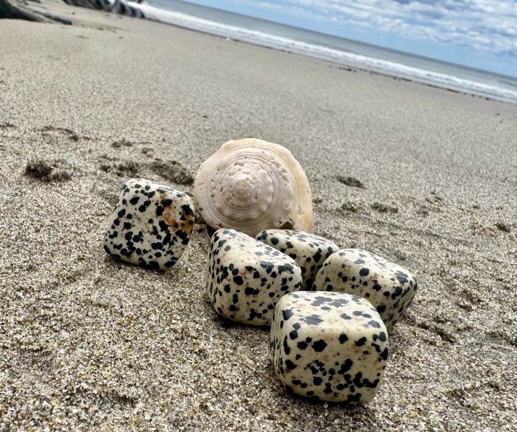 Dalmatian Jasper Cube Tumbles
