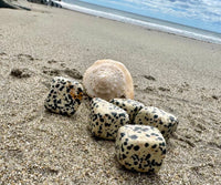 Dalmatian Jasper Cube Tumbles