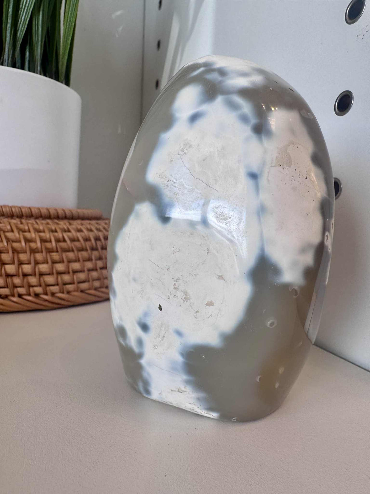 Orca Jasper Freeform
