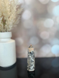 Crazy Lace Agate Tower 5