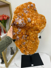 Citrine Cluster with Apophyllite on Stand