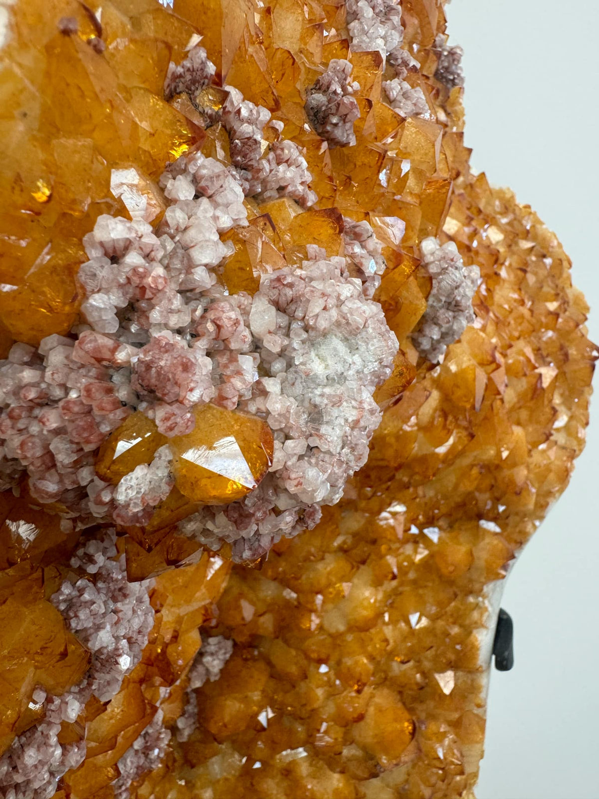 Citrine Cluster with Apophyllite on Stand