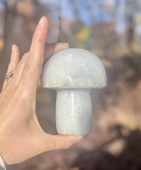 Blue Calcite Mushroom