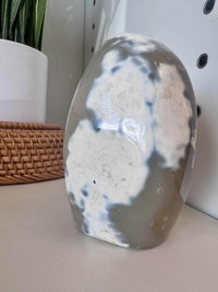 Orca Jasper Freeform