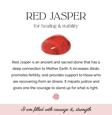 Mini Red Jasper Turtle
