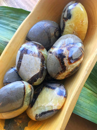 Septarian Nodule Palm Stones
