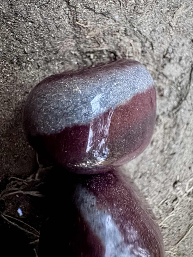 Shiva Lingam Tumbles