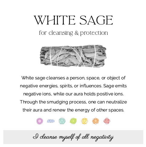 White Sage w/ blue wildflowers