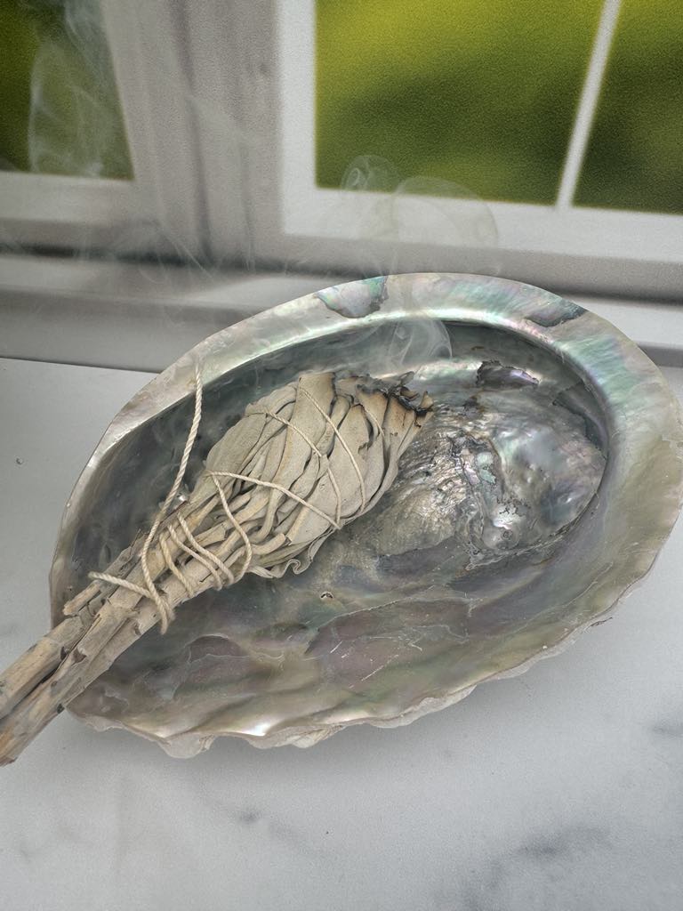 Large Abalone Shell
