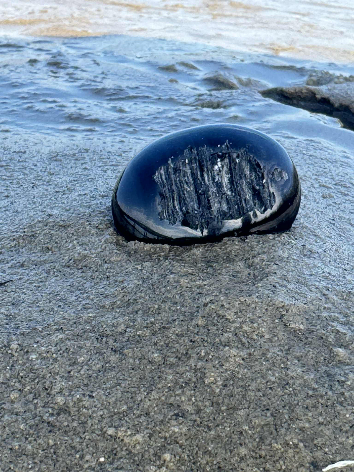 Agni Manitite Palmstone