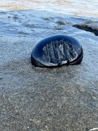 Agni Manitite Palmstone