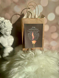 Aries Zodiac Grab bags