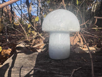 Blue Calcite Mushroom