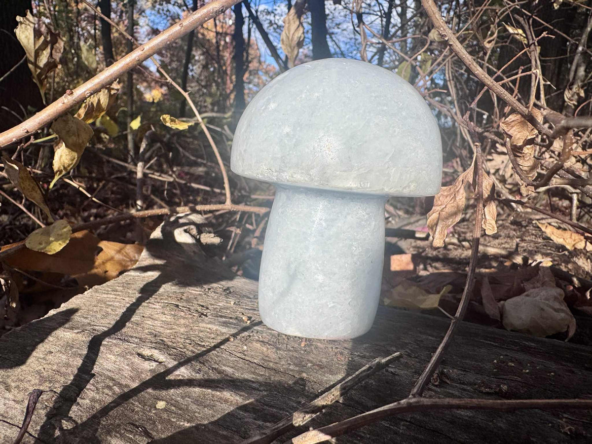 Blue Calcite Mushroom