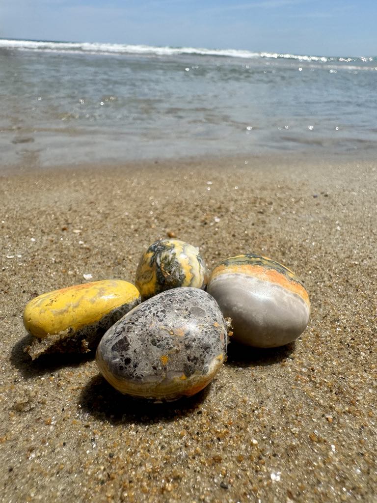 Bumblebee Jasper Tumbles