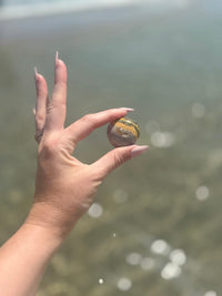 Bumblebee Jasper Tumbles