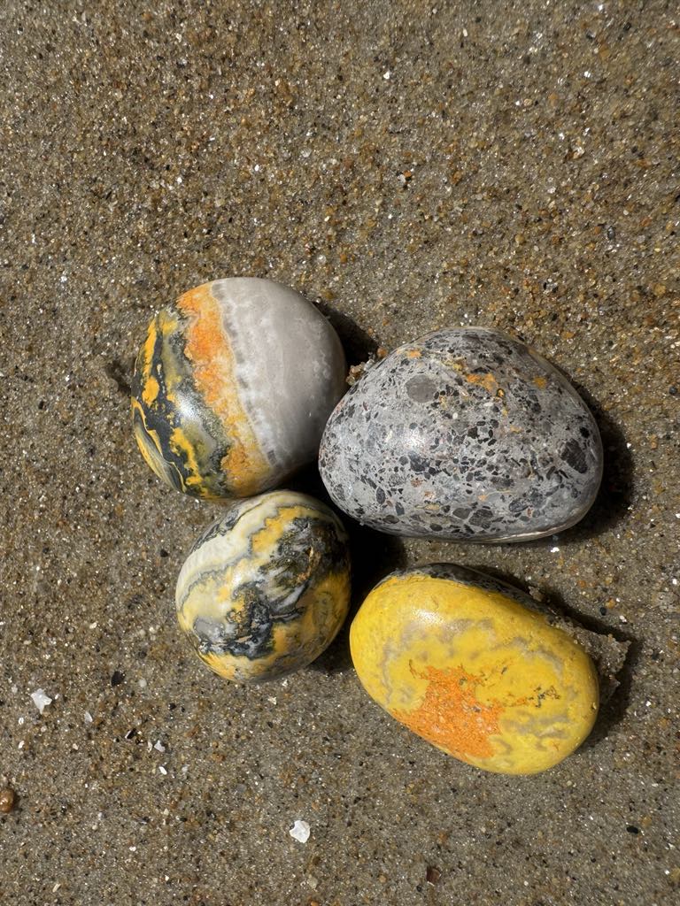 Bumblebee Jasper Tumbles