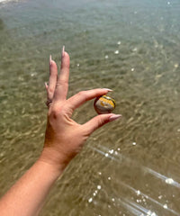 Bumblebee Jasper Tumbles
