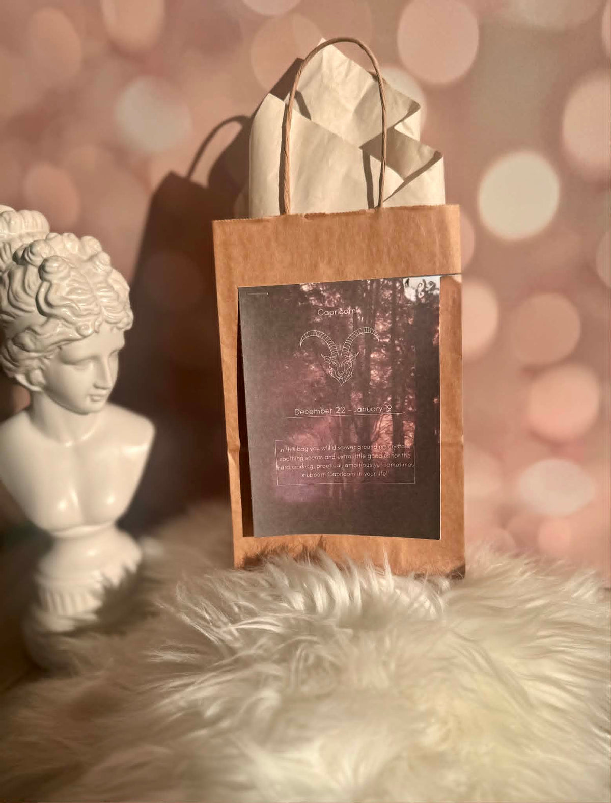 Capricorn Zodiac Grab bags