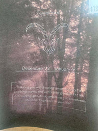 Capricorn Zodiac Grab bags