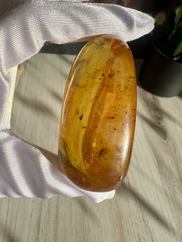 Amber with Insects