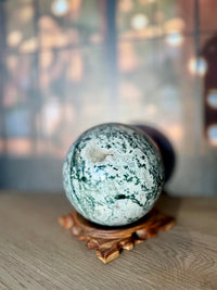 Tree Agate Sphere Large