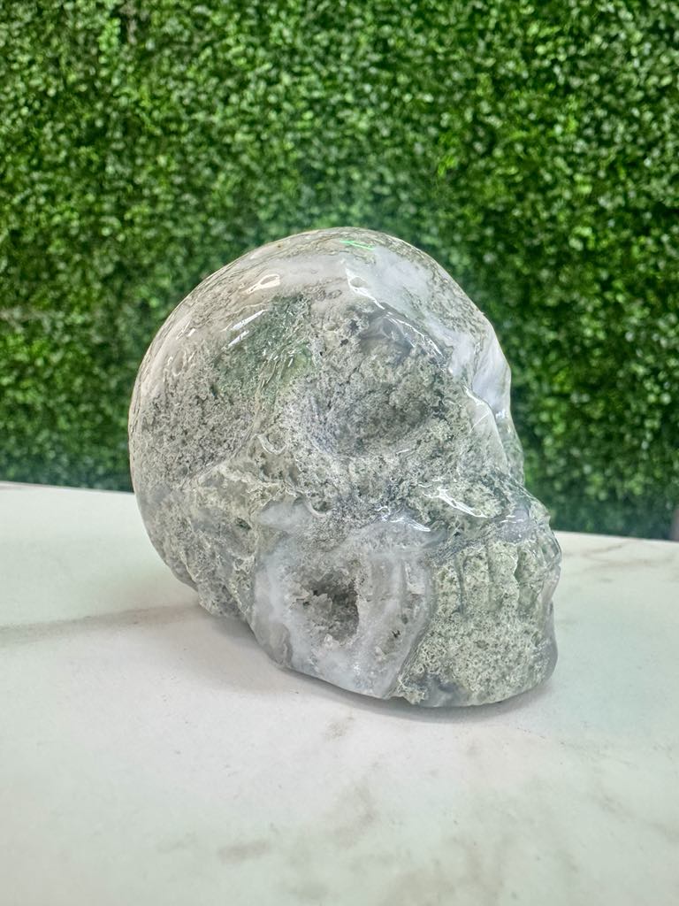 Moss Agate Skull