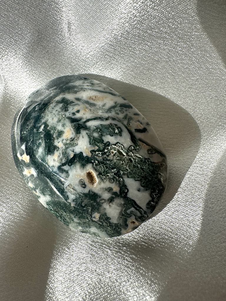 Moss Agate Palm Stone 1