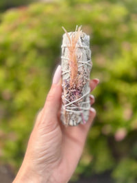 White Sage with pink decorative flowers & herbs