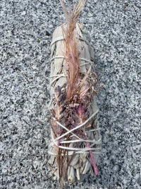 White Sage with pink decorative flowers & herbs