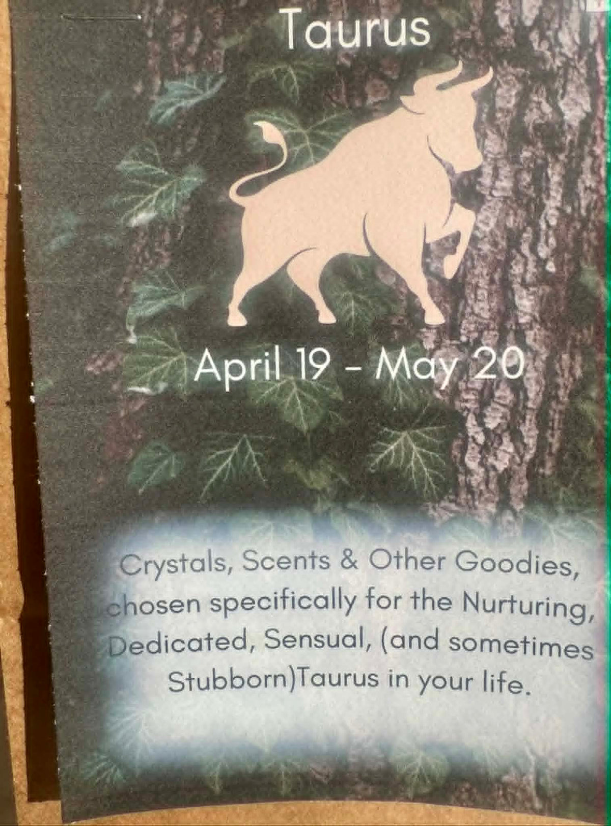 Taurus Zodiac Grab bag